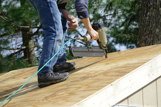 Best Attic Insulation Installation  in Lexington, MN